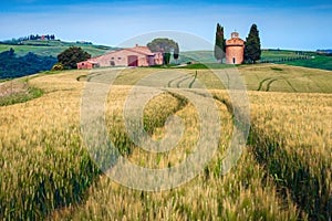 Idyllic Vitaleta chapel with grain fields in Tuscany, Italy