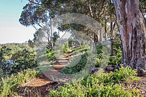 Idyllic walking trail winding its way along the banks of the Werribee River photo