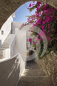 Idyllic way through cycladic white houses and pink flowers