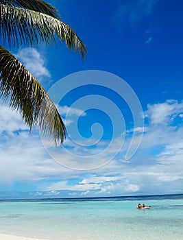 Idyllic white beach with palm trees and people kayaking