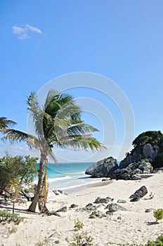 Idyllic White Sand Beach on the Sea