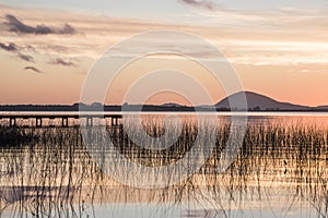 Idyllic Willow Lake, Maldonado Department of Uruguay photo