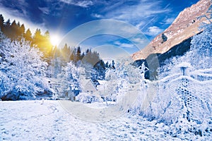 Idyllic winter landscape. Alpine Slovenia