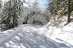 Idyllic winter landscape with snowy road in the forest,  sunny day,  Azuga,  Romania