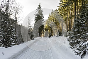 Idyllic winter landscape with snowy road in the forest,  sunny day,  Azuga,  Romania