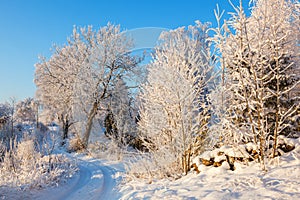 Idyllic winter landscape with a winding road