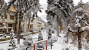 Idyllic Winter Scene With Snow