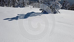 Idyllic winter snow scene on Mountain Divcibare, Serbia