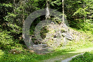 Idyllic wood bench in forest near caumasee in switzerland