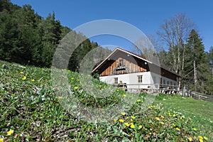 Idyllic wooden hut with fresh green gras