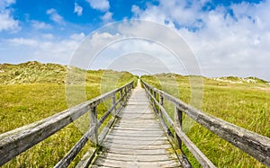 Idyllic wooden path in european nort sea dune beach landscape