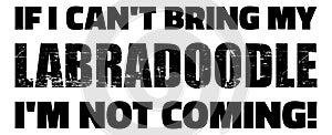 If I can`t bring my Labradoodle