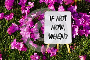 If not now when On background of pink flowers and green grass.