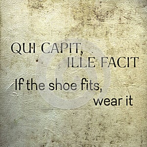 If the shoe fits Lat photo