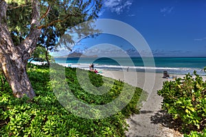 Kalama Beach Park Kailua Oahu Hawaii