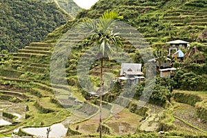 Ifugao rice terraces batad philippines