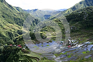 Ifugao rice terraces batad philippines photo