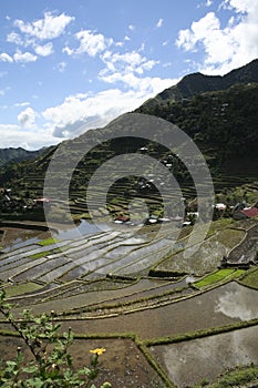 Ifugao rice terraces batad philippines