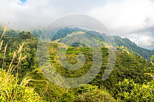 Ifugao Rice Terraces, UNESCO world heritage in Ifugao, Luzon Island, Philippines