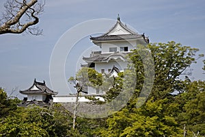 Iga Ueno Castle