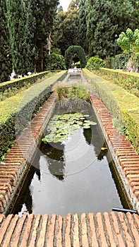 IGardens of Puerta Oscura Park of Malaga