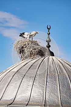 Igdir, stork, nest, egg, dome, mosque, minaret, islam, bird, birdwatching, Turkey, Middle East, landscape, aerial view photo