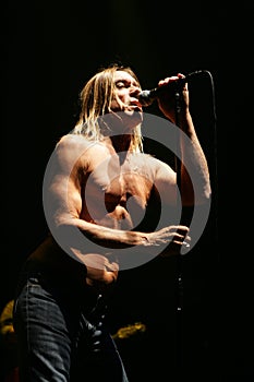 Iggy Pop