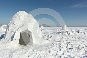 Igloo standing on a snowy glade