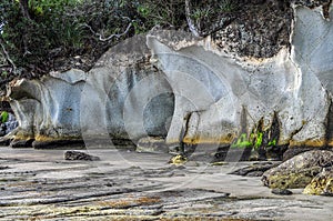 Ignimbrite cliffs in New Zealand