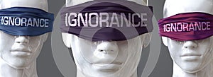 Ignorance can blind our views and limit perspective - pictured as word Ignorance on eyes to symbolize that Ignorance can distort