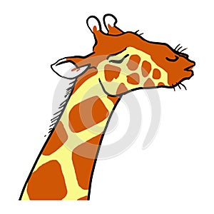 Cartoon Ignorant Giraffe Emotion. Zoo photo