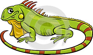 Iguana animal cartoon illustration