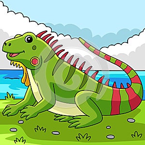 Iguana Animal Colored Cartoon Illustration