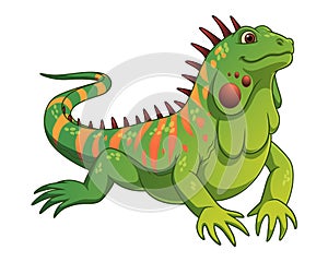 Iguana Cartoon Animal Illustration Color