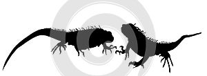 Iguana couple in love silhouette vector illustration isolated on white background.