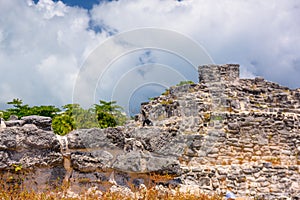 Iguana lizard in ancient ruins of Maya in El Rey Archaeological Zone near Cancun, Yukatan, Mexico