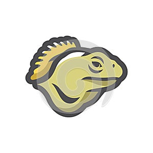 Iguana Lizard Reptile Vector icon Cartoon illustration