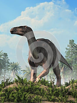 Iguanodon