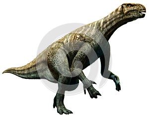 Iguanodon