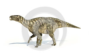 Iguanodon Dinosaur photorealistic representation, side view.