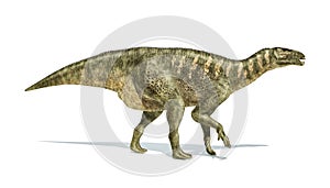 Iguanodon Dinosaur photorealistic representation, side view.