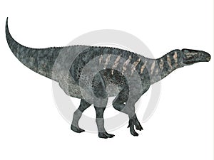 Iguanodon Side Profile