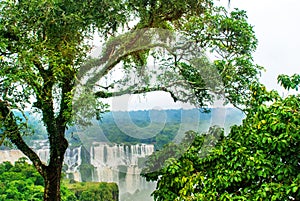 Iguassu Falls, Brazil, America: Extraordinary view from the Brazilian waterfalls. Seventh wonder of the world