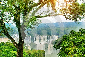 Iguassu Falls, Brazil, America: Extraordinary view from the Brazilian waterfalls. Seventh wonder of the world