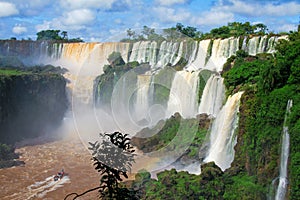 Iguazu falls