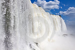 Iguazu Falls photo