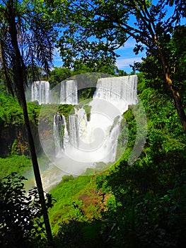 The Iguazu Falls IguaÃ§u or Iguassu