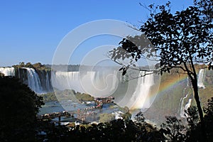 Iguazu Falls Trails, Brazil Side