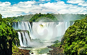 Iguazu Falls in a tropical rainforest in Argentina