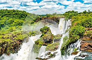 Iguazu Falls in a tropical rainforest in Argentina